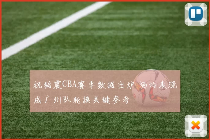 祝铭震CBA赛季数据出炉 场均表现成广州队轮换关键参考