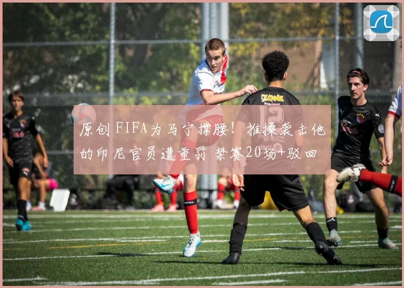 原创 FIFA为马宁撑腰!推搡袭击他的印尼官员遭重罚 禁赛20场+驳回上诉